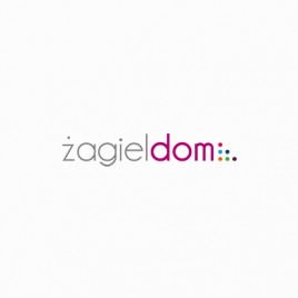 Deweloper Żagiel Dom
