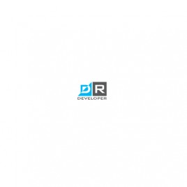 DR Developer