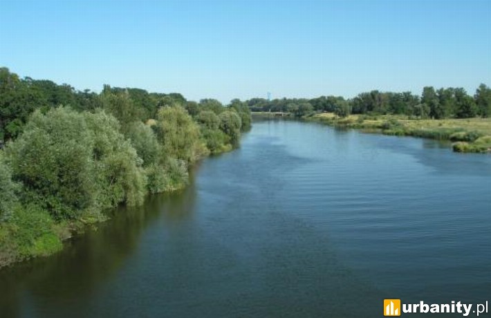 Odra