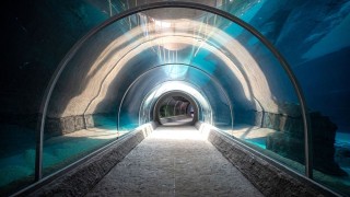 W Łodzi powstało najnowocześniejsze zoo w Europie. Poznaliśmy cennik Orientarium