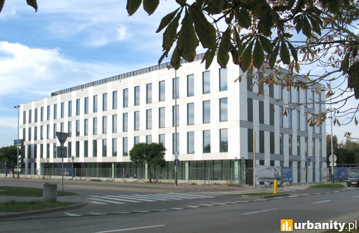 Lobos Office w Krakowie