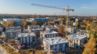 Francuskie wille na wrocławskich Kowalach. W centrum osiedla znajduje się stuletni dąb