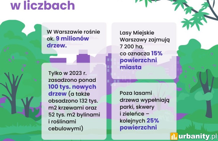 Drzewa Warszawy w liczbach, fot. grafika partnera