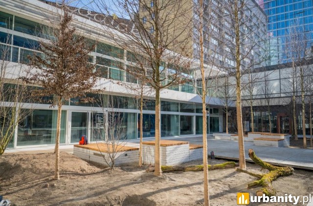 Plac przed pawilonem Zodiak przeszedł metamorfozę, fot. Rafał Motyl, UM Warszawa