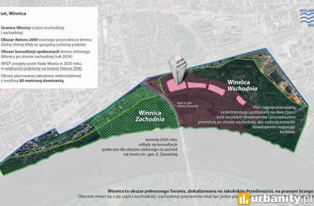 Zdjęcie ilustracyjne, fot. Stowarzyszenie Wolna Winnica