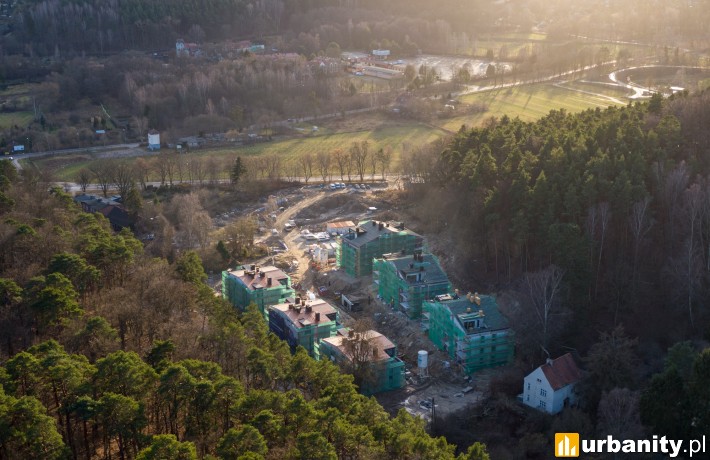 Oliva Koncept w Gdańsku - styczeń 2020 r.