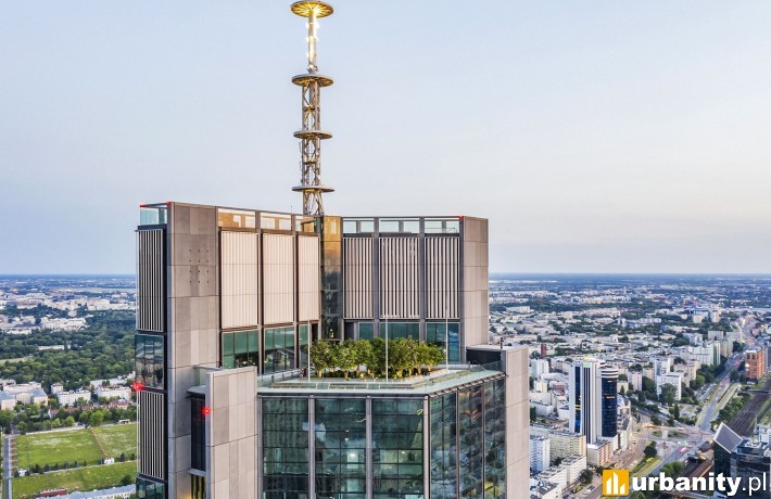 Taras na szczycie Varso Tower, fot. materiały prasowe