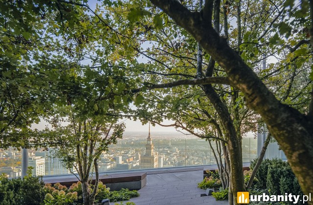 Taras na szczycie Varso Tower, fot. materiały prasowe