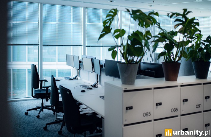 Biuro TMF Polska w The Warsaw HUB, fot. materiały prasowe