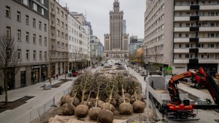 200 drzew w ścisłym centrum Warszawy. Tak wygląda przebudowa ważnego kwartału ulic