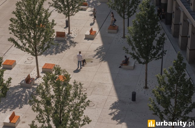 Plac Pięciu Rogów, fot. WXCA