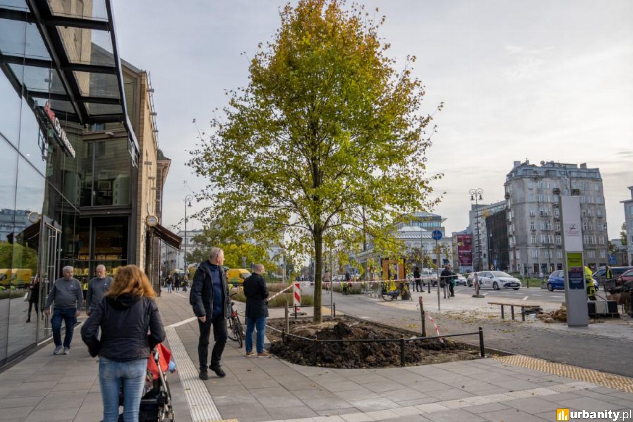 Po blisko 100 latach zieleń wróciła na Plac Trzech Krzyży. Koniec