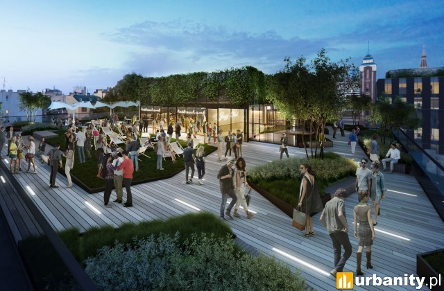 Publicznie dostępny rooftop w Fern Office