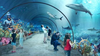 W Orientarium trwa montaż tunelu o długości ponad 25 metrów