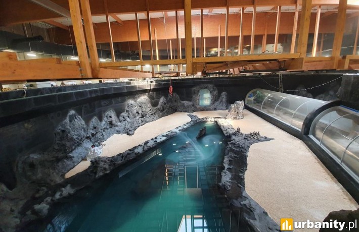 Główny zbiornik - Orientarium (fot. Paweł Kowski)