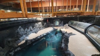 Coraz bliżej do otwarcia Orientarium w Łodzi. Trwa napełnianie głównego zbiornika