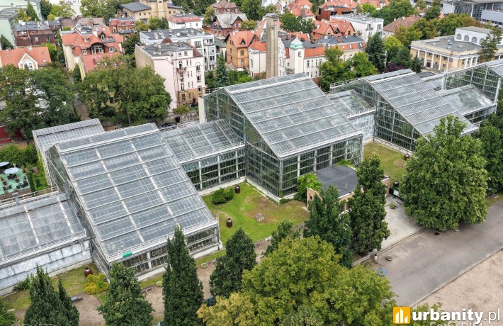 Palmiarnia Poznań, fot. PIM