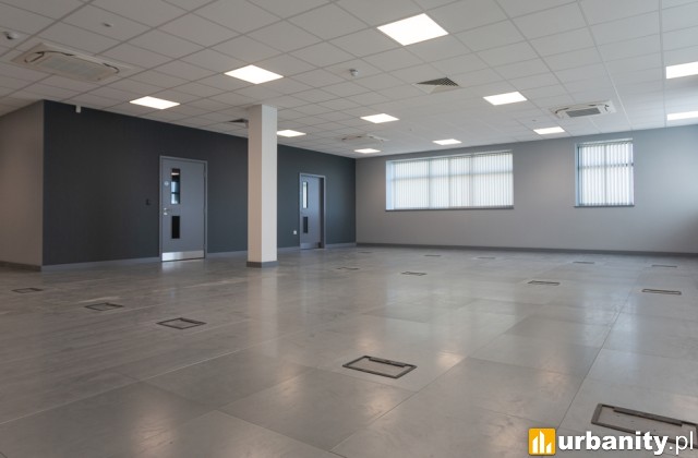 Wynajem powierzchni komercyjnych – samodzielnie czy z doradcą?, fot. Shutterstock