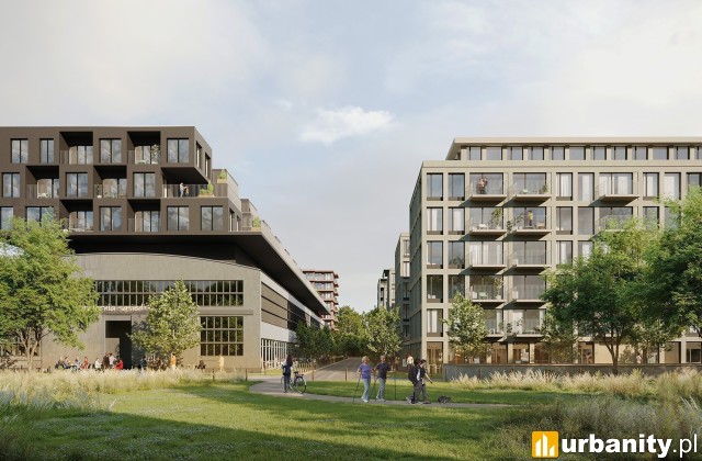 Projekt osiedla nad Odrą na Szczepinie, wiz. 3XA