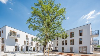 Gotowe francuskie wille na wrocławskich Kowalach z pomnikiem przyrody