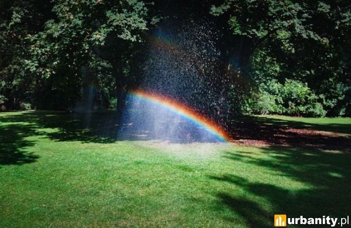 Jak krok po kroku zaprojektować własny ogród?, fot. grafika partnera