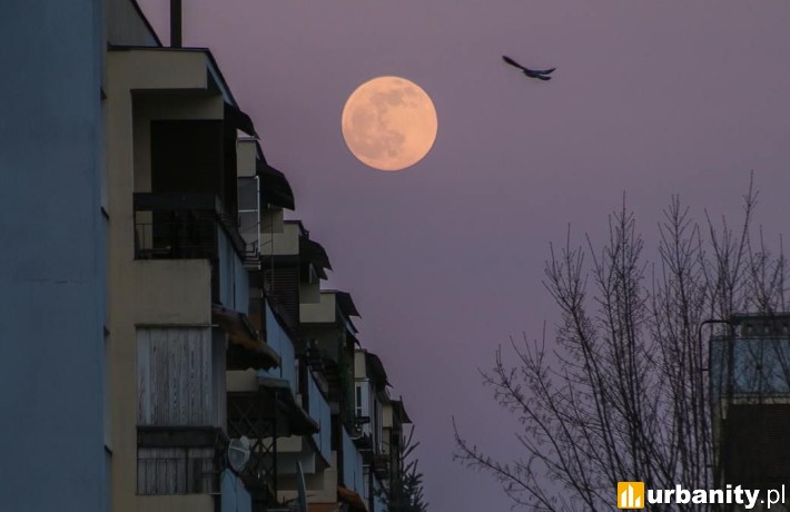 Co musisz wiedzieć o kominach ceramicznych?, fot. pexels.com