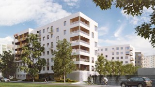 Nowy Gaj powstaje na Krzykach we Wrocławiu