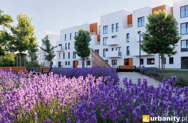 Osiedle Bacciarellego 54 we Wrocławiu w całości ukończone, fot.  TREI Real Estate