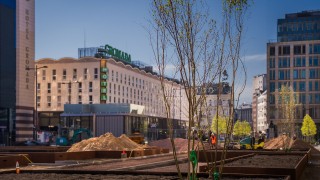 Dziesiątki drzew i tysiące roślin na Placu Powstańców Warszawy. Powstaje zielona przestrzeń z ogrodem muzyki