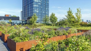 Biurowiec Forest z najładniejszą zielenią w Warszawie