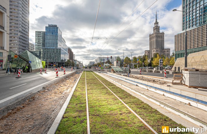 Marszałkowska w zieleni: rozchodnik zastąpił trawę w torowisku, fot. Tramwaje Warszawskie