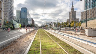 Marszałkowska w zieleni: rozchodnik zastąpił trawę w torowisku, fot. Tramwaje Warszawskie