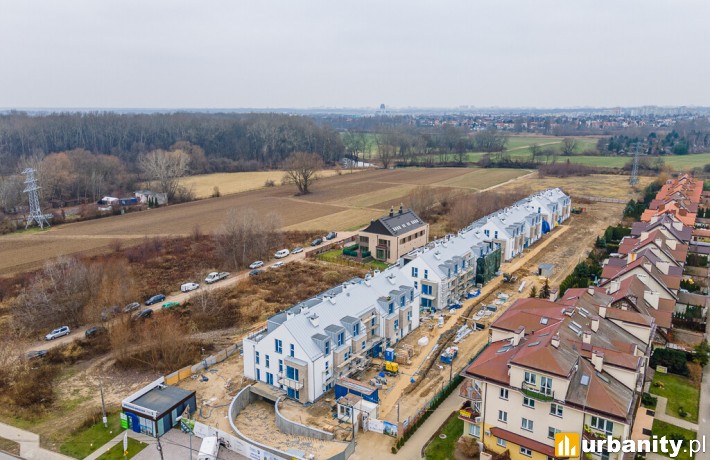 Vitalite - budowa (fot. Maciej Lulko)