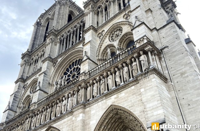 Katedra Notre Dame, fot. materiały prasowe