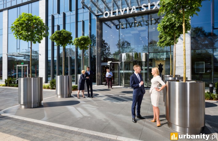 Olivia Six