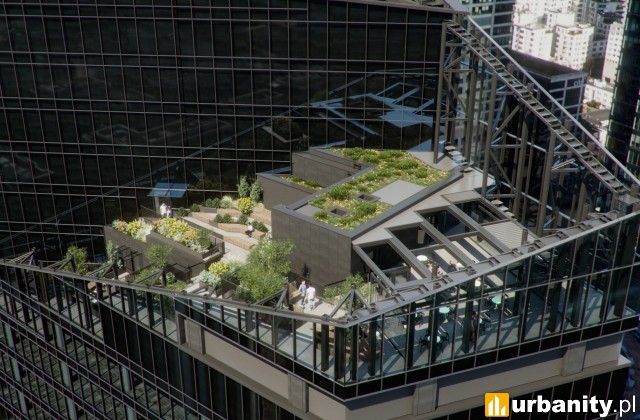 Kaskadowe tarasy wieżowca Skyliner II , wiz. materiały inwestora
