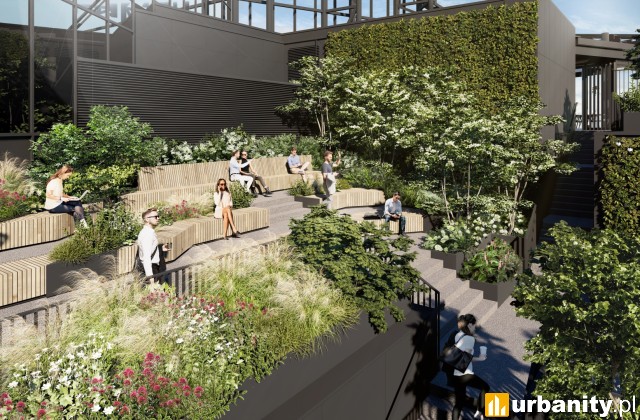 Kaskadowe tarasy wieżowca Skyliner II , wiz. materiały inwestora