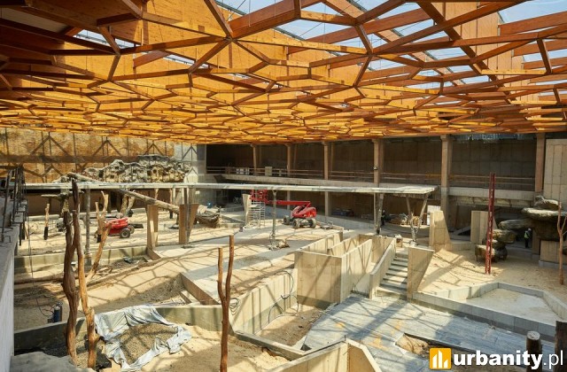 Prace na budowie łódzkiego Orientarium. fot. Radosław Jóźwiak / UMŁ