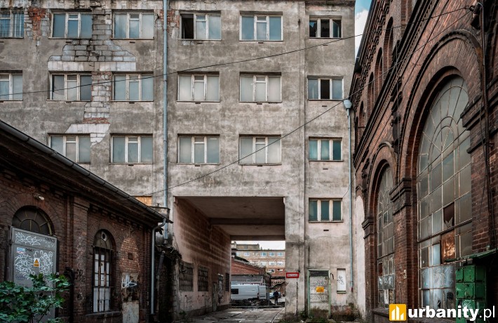 fot. Dawid Linkowski