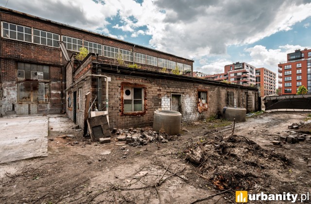 fot. Dawid Linkowski
