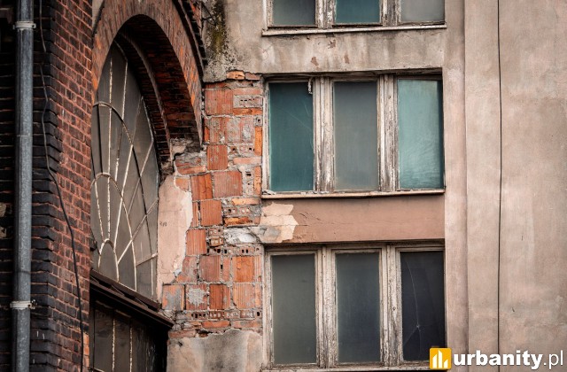 fot. Dawid Linkowski