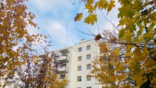 Przedostatni Ornament w Szczecinie