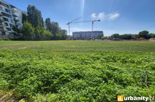 Łąka rekultywacyjna na terenie osiedla Splot Wola, fot. Matexi Polska