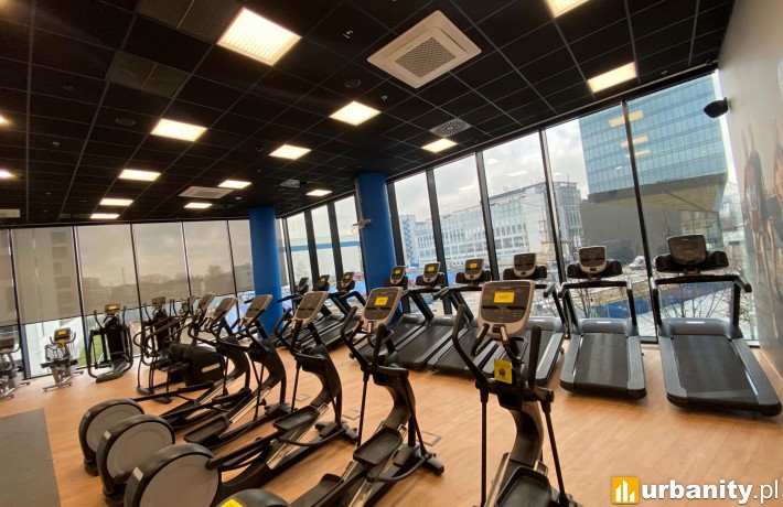 The Warsaw HUB