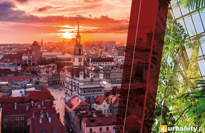 Poznań bez nowej podaży w trzech pierwszych kwartałach roku, fot. Knight Frank