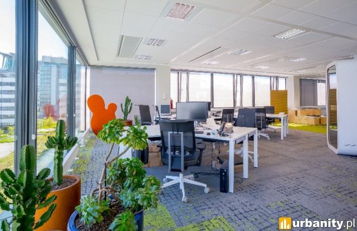 BZ WBK w Business Garden Poznań