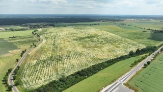 Tajwańskie firmy chcą inwestować pod Wrocławiem. W planach ogromny park technologiczny