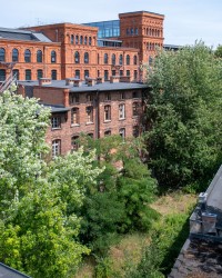 zdjęcie z przebudowy Ogrodowa 24