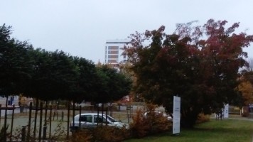 zdjęcie Osiedle Red Park I i II