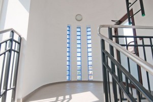 zdjęcie Mosina Park